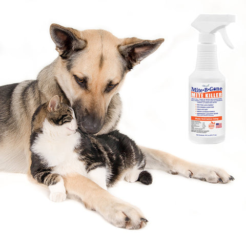 Ear mite Treatment for Cats and Dogs
